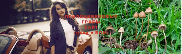 марки lsd Вяземский