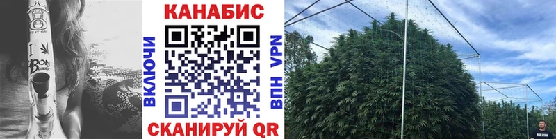 Марихуана SATIVA & INDICA  Псков 